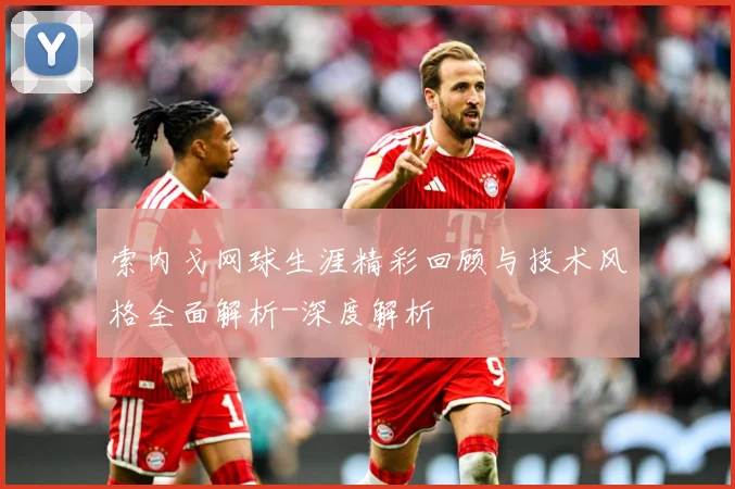 索内戈网球生涯精彩回顾与技术风格全面解析-深度解析