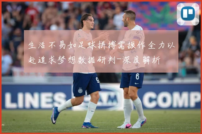 生活不易如足球拼搏需振作全力以赴追求梦想数据研判-深度解析